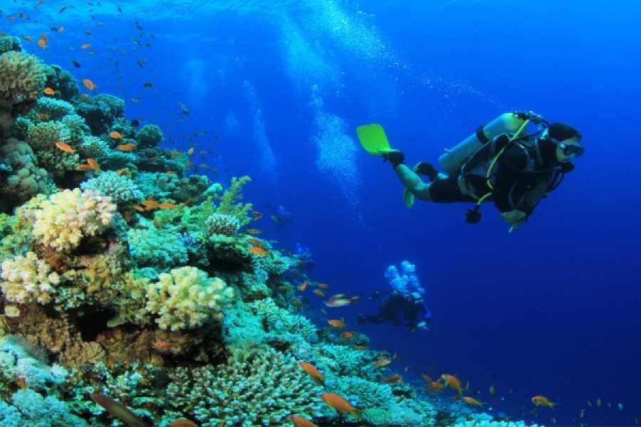 Sharm El Sheikh Tour Program (4 Days / 3 Nights)